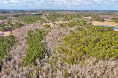 00 Lloyd Stewart Road, Broadway, NC 27505 - Photo 15