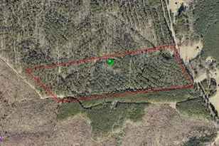 Lot 3 S Plank Rd, Sanford, NC 27330 - Photo 1