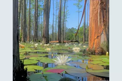 263 Brewster Drive, Fayetteville, NC 28303 - Photo 19