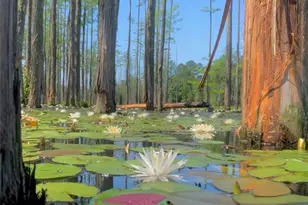 263 Brewster Dr, Fayetteville, NC 28303 - Photo 19