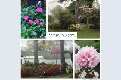 415 E 3rd Avenue, Red Springs, NC 28377 - Photo 41