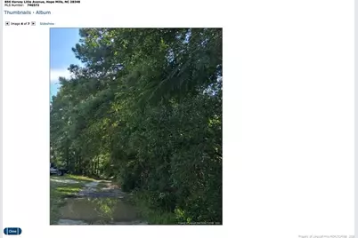 856 Harvey Lillie Avenue, Hope Mills, NC 28348 - Photo 3