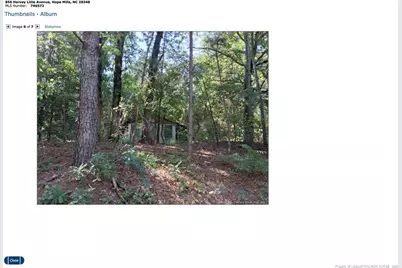 856 Harvey Lillie Avenue, Hope Mills, NC 28348 - Photo 1