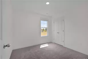 245 Buggy Top Ln, Autryville, NC 28318 - Photo 29