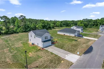 245 Buggy Top Lane, Autryville, NC 28318 - Photo 3