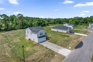 245 Buggy Top Ln, Autryville, NC 28318 - Photo 3