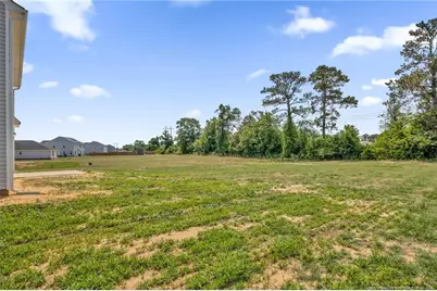 245 Buggy Top Lane, Autryville, NC 28318 - Photo 39
