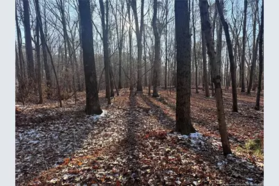 Oldham Lake Road, Sanford, NC 27330 - Photo 5