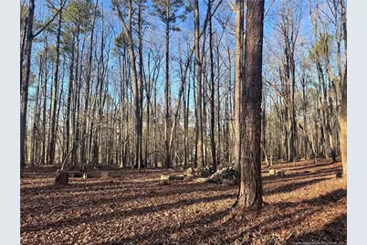 Oldham Lake Road, Sanford, NC 27330 - Photo 11