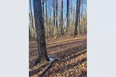 Oldham Lake Road, Sanford, NC 27330 - Photo 13