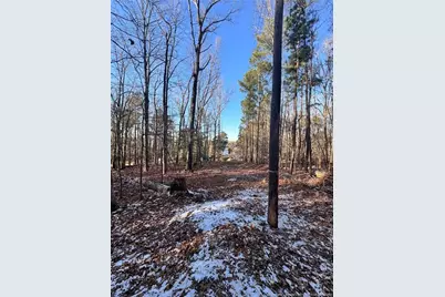 Oldham Lake Road, Sanford, NC 27330 - Photo 15