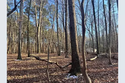 Oldham Lake Road, Sanford, NC 27330 - Photo 9