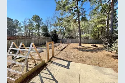 332 Juno Drive, Broadway, NC 27505 - Photo 43