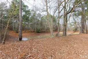 653 Lower River Rd, Broadway, NC 27505 - Photo 23