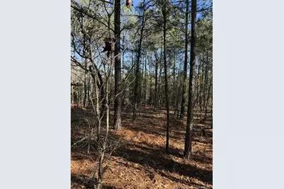 257 Lakeview Lane, Cameron, NC 28326 - Photo 9