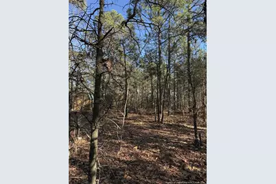 257 Lakeview Lane, Cameron, NC 28326 - Photo 7