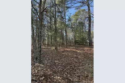 257 Lakeview Lane, Cameron, NC 28326 - Photo 3