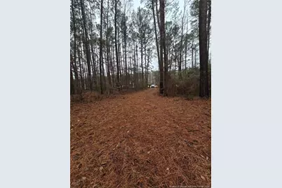 488 Green Street, Parkton, NC 28371 - Photo 9