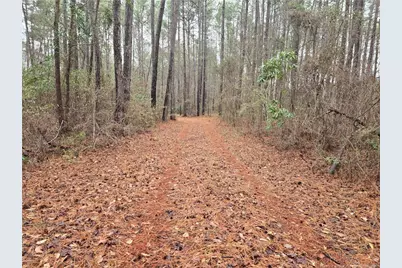 488 Green Street, Parkton, NC 28371 - Photo 3