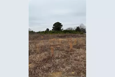 2602 Erwin Road, Dunn, NC 28334 - Photo 3