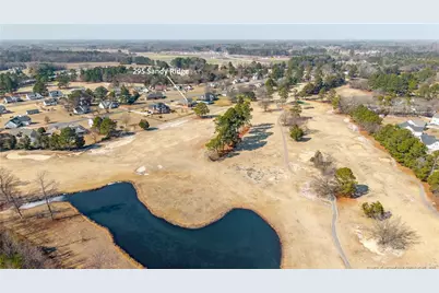 295 Sandy Ridge Road, Dunn, NC 28334 - Photo 35