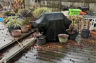 7121 Shellburne Dr, Raleigh, NC 27612 - Photo 21