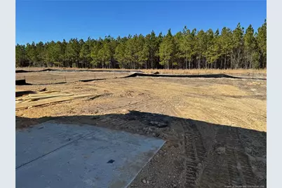 222 Seaford (Lot 02) Lane, Aberdeen, NC 28315 - Photo 9