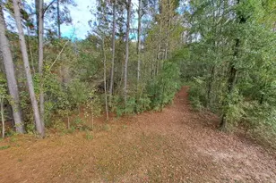 1117 Bombay Dr, Fayetteville, NC 28312 - Photo 23