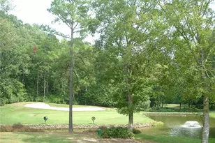 380 Kittery Point, Sanford, NC 27332 - Photo 35