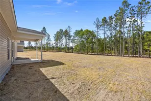 33 Glider Ln Lot 2, Cameron, NC 28326 - Photo 37
