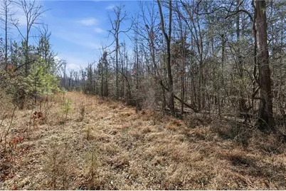Lot A 1600 Mt. Willing Road, Efland, NC 27243 - Photo 21
