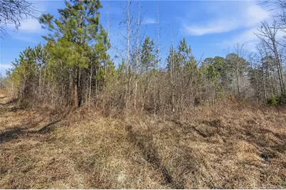 Lot A 1600 Mt. Willing Road, Efland, NC 27243 - Photo 27