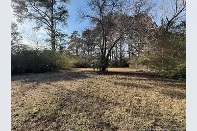 2513 E Brinkley Drive, Spring Lake, NC 28390 - Photo 21