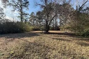 2513 E Brinkley Dr, Spring Lake, NC 28390 - Photo 21