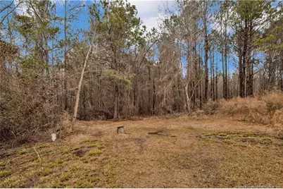 8521 Candlebrush Drive, Linden, NC 28356 - Photo 17