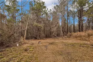 8521 Candlebrush Dr, Linden, NC 28356 - Photo 17