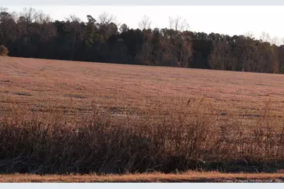 Raynham Road, Fairmont, NC 28340 - Photo 3