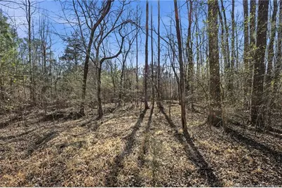 Lot B 1600 Mt. Willing Road, Efland, NC 27243 - Photo 17