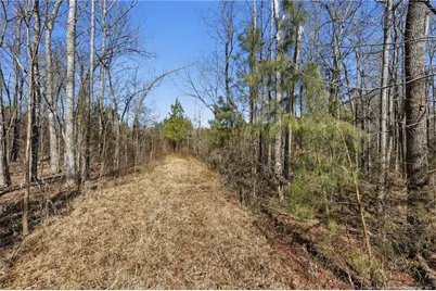 Lot B 1600 Mt. Willing Road, Efland, NC 27243 - Photo 19
