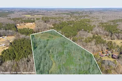 1600 Mt. Willing Road, Efland, NC 27243 - Photo 3