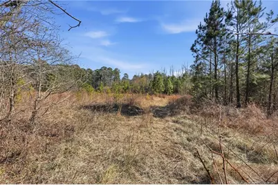 1600 Mt. Willing Road, Efland, NC 27243 - Photo 31