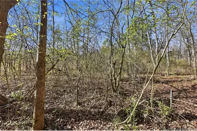 1600 Mt. Willing Road, Efland, NC 27243 - Photo 17