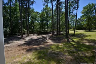 346 D L Phillips Ln Lot 3, Broadway, NC 27505 - Photo 35