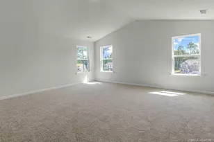 3093 Platinum Cir, West End, NC 27376 - Photo 21