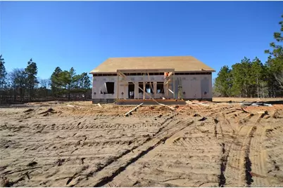 270 D L Phillips (Lot 4) Lane, Broadway, NC 27505 - Photo 5