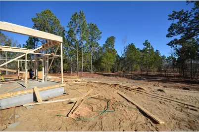 270 D L Phillips (Lot 4) Lane, Broadway, NC 27505 - Photo 3