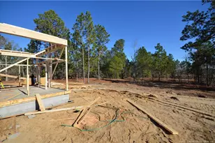 270 D L Phillips Ln Lot 4, Broadway, NC 27505 - Photo 3