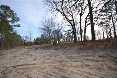 302 D L Phillips (Lot 1) Lane, Broadway, NC 27505 - Photo 9