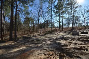 324 D L Phillips Ln Lot 2, Broadway, NC 27505 - Photo 3
