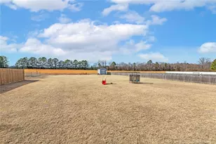 267 Placid Pond Dr, Broadway, NC 27505 - Photo 45